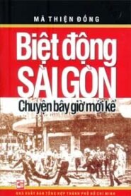 Biệt Động Sài Gòn, Chuyện Bây Giờ Mới Kể